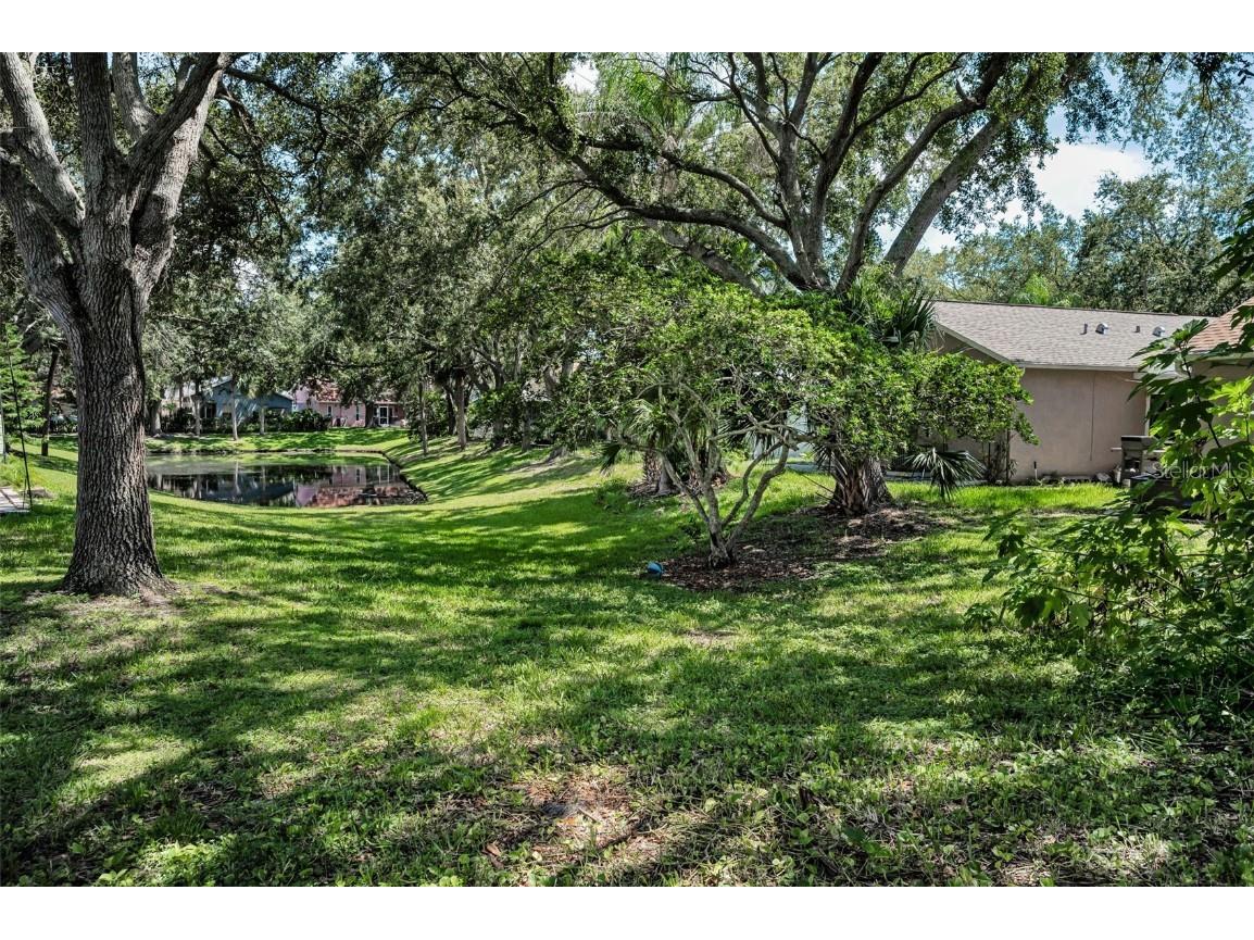 3678 Amelia Way Palm Harbor FL 34684 TB8409904 image44