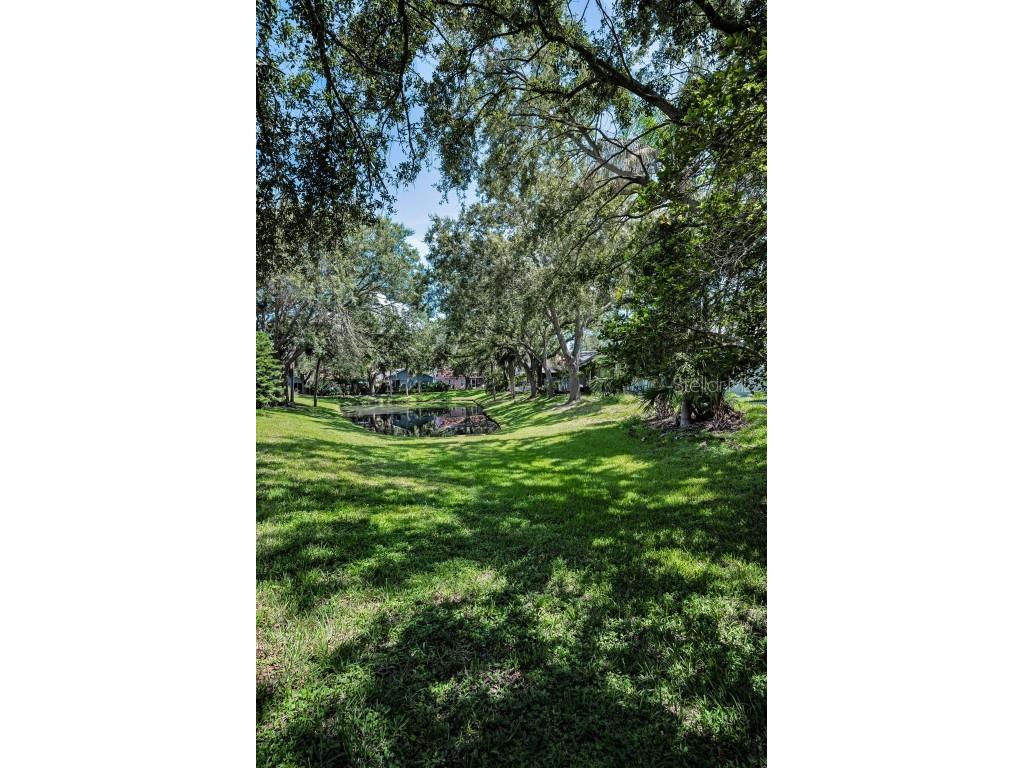 3678 Amelia Way Palm Harbor FL 34684 TB8409904 image45