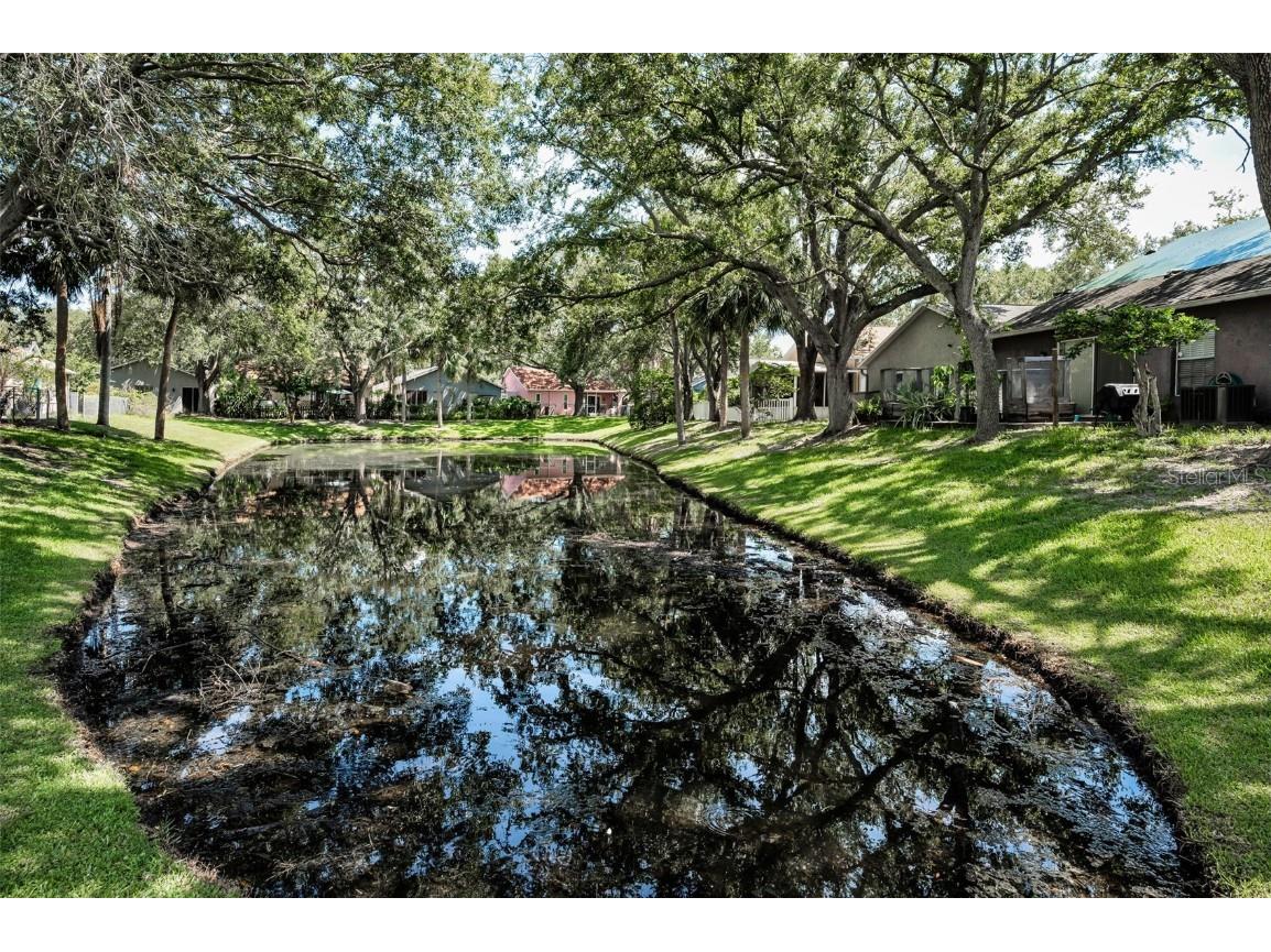 3678 Amelia Way Palm Harbor FL 34684 TB8409904 image46