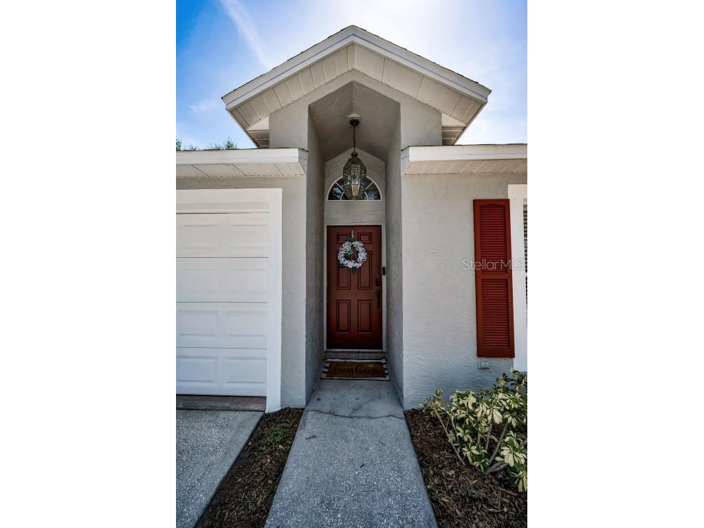 3678 Amelia Way Palm Harbor FL 34684 TB8409904 image7