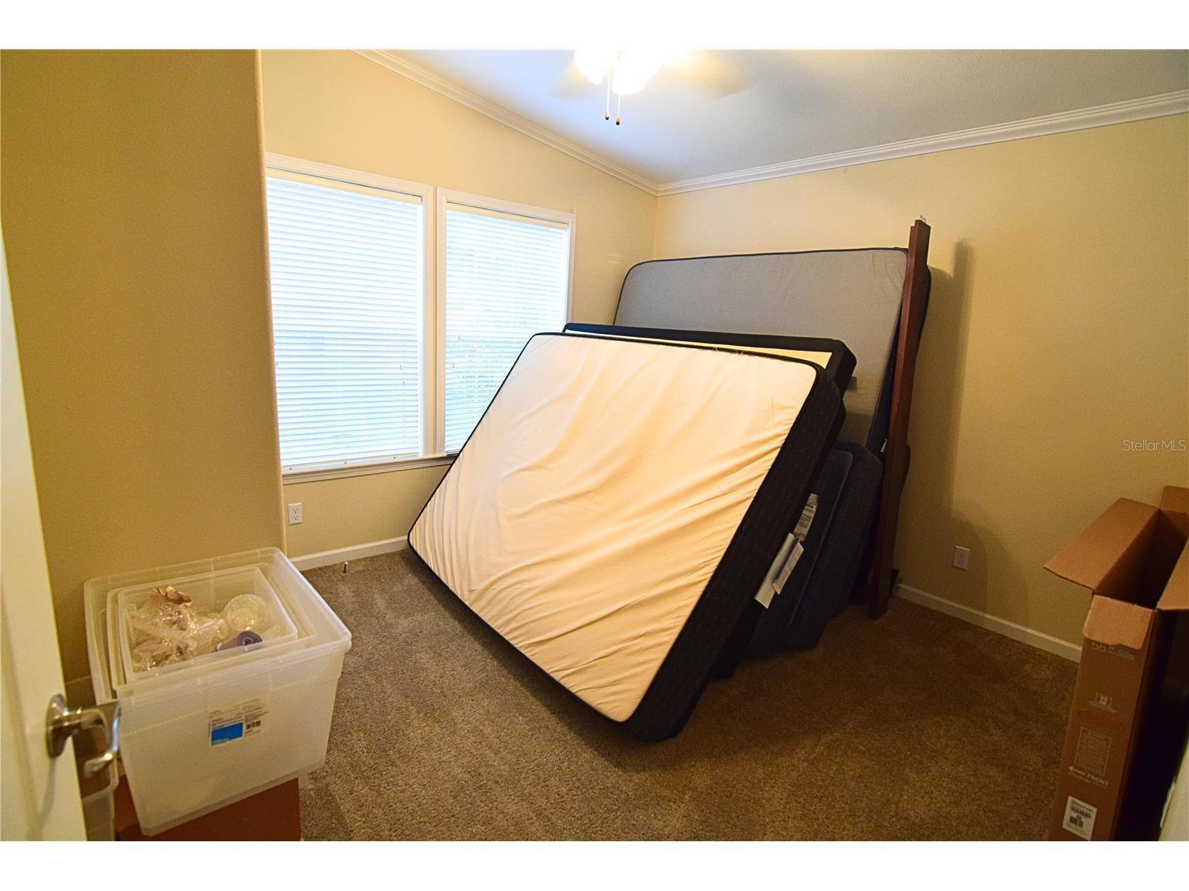 3678 Coconut Palm Circle Oviedo FL 32765 O6408822 image15