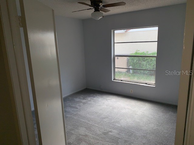 3678 Dehaven Drive Palm Harbor FL 34684 TB8493390 image15