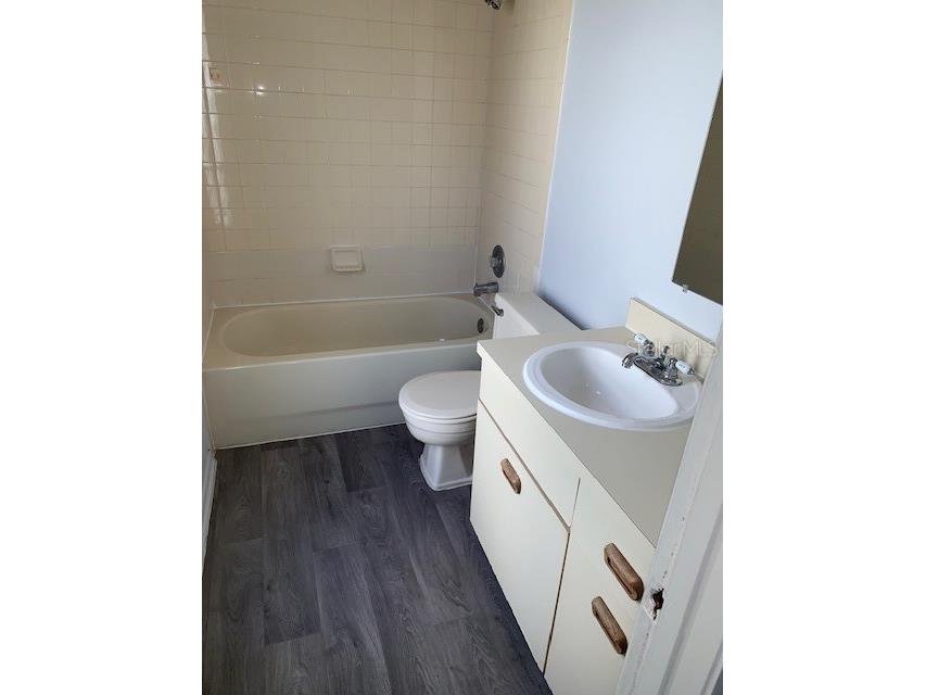 3678 Dehaven Drive Palm Harbor FL 34684 TB8493390 image16