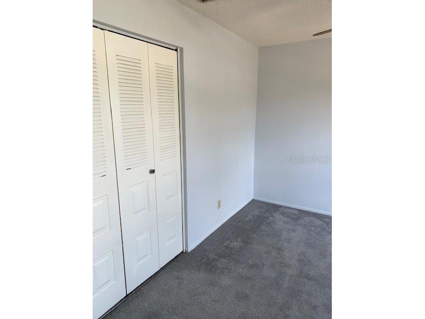 3678 Dehaven Drive Palm Harbor FL 34684 TB8493390 image5