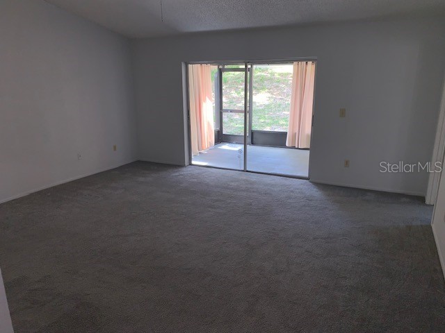 3678 Dehaven Drive Palm Harbor FL 34684 TB8493390 image6