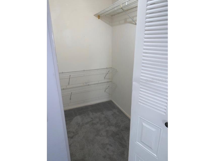 3678 Dehaven Drive Palm Harbor FL 34684 TB8493390 image9
