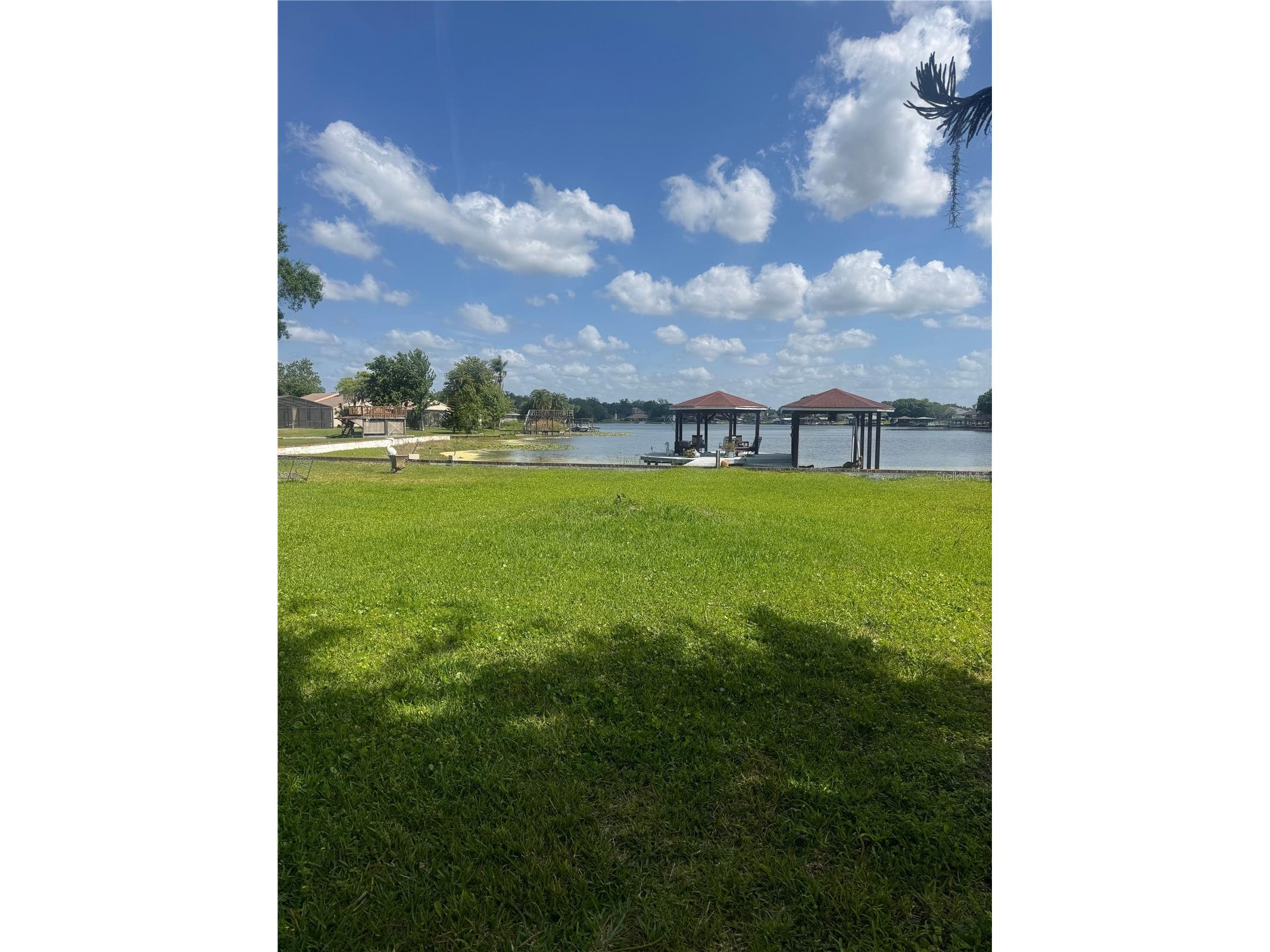 3678 E Lake Drive Land O Lakes FL 34639 TB8494983 image2