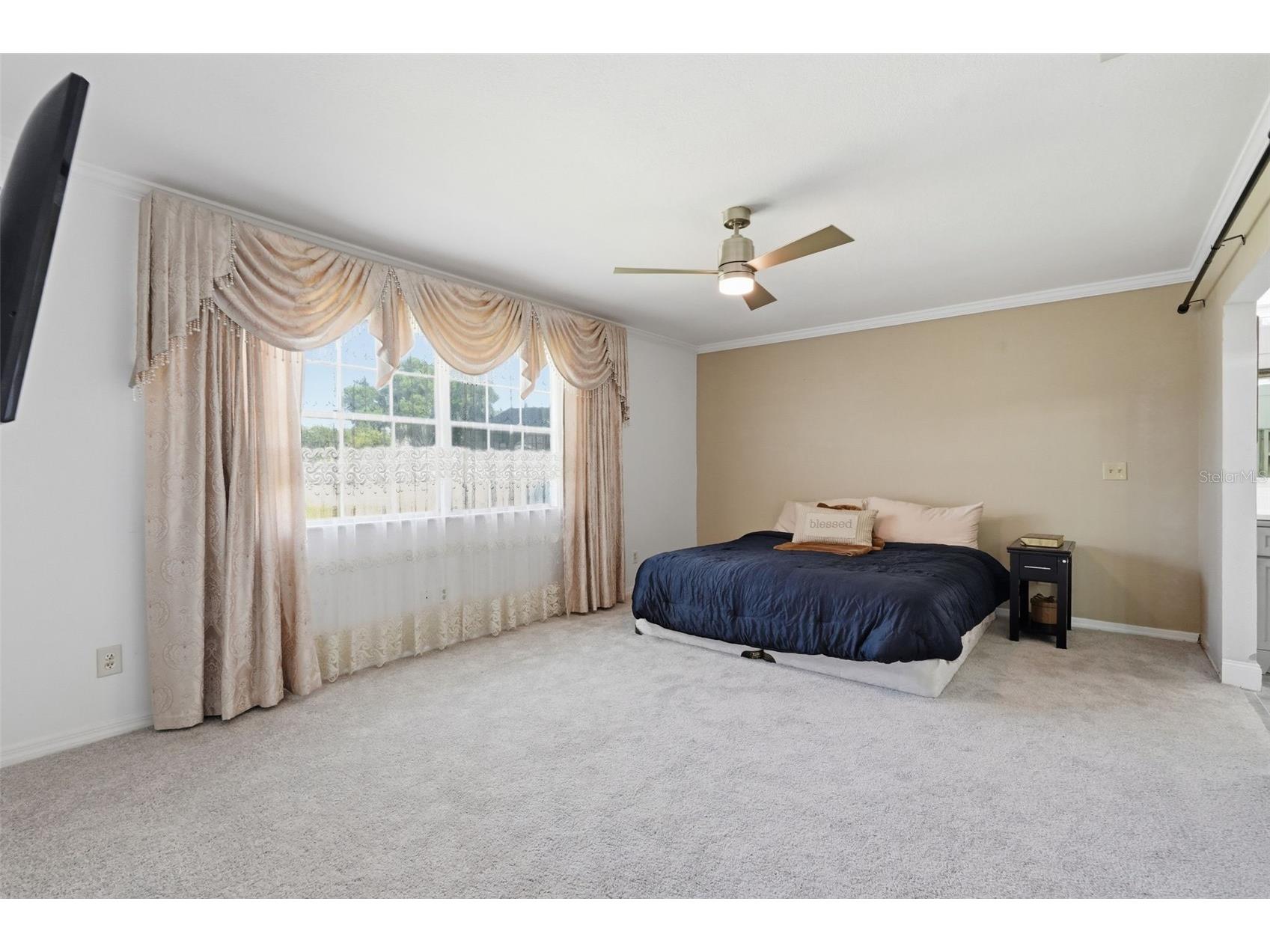 3678 E Lake Drive Land O Lakes FL 34639 TB8502809 image27