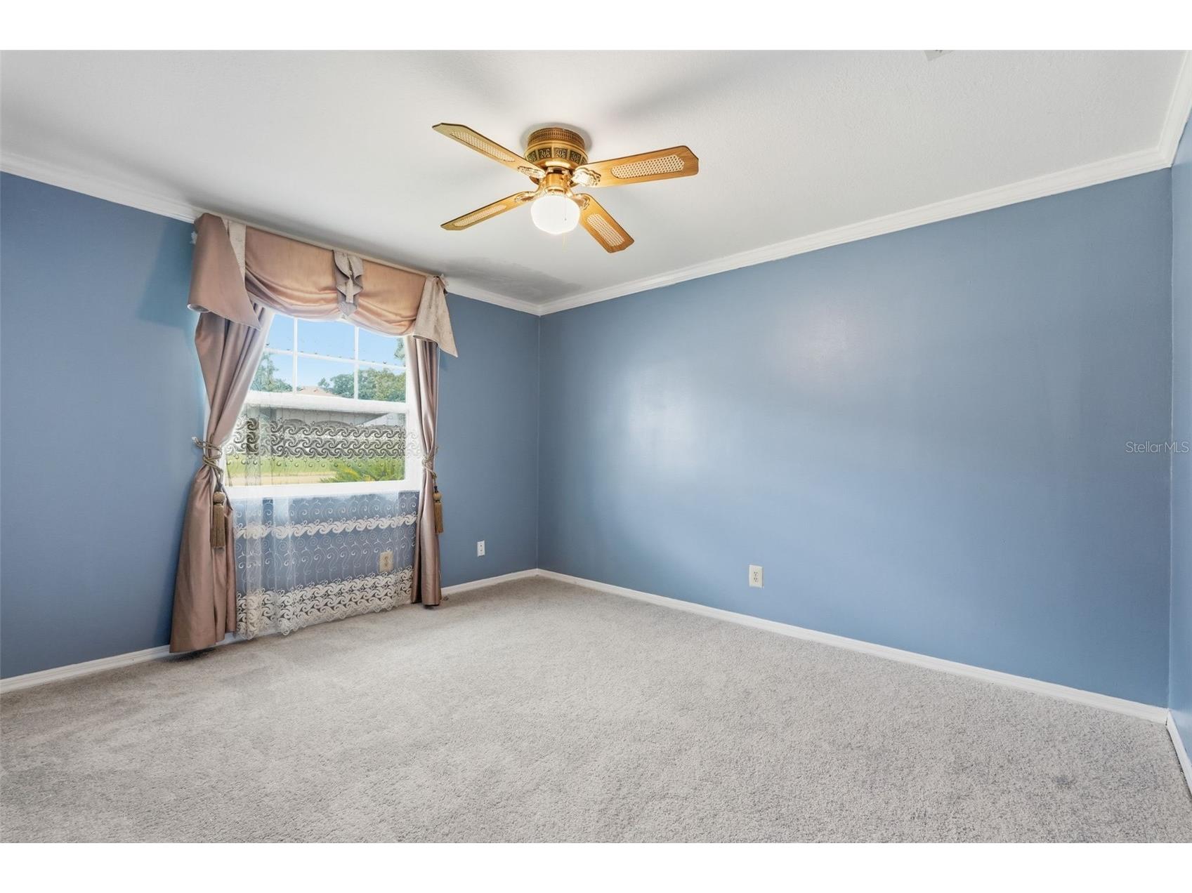 3678 E Lake Drive Land O Lakes FL 34639 TB8502809 image34