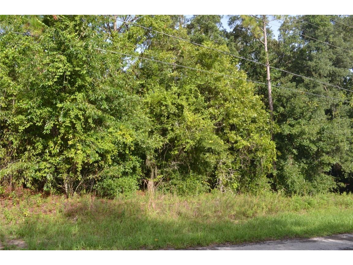 3678 N Eisenhower Avenue Hernando FL 34442 W7866417 image1