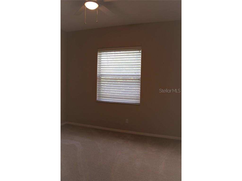 3678 Pendlebury Drive Palm Harbor FL 34685 TB8457584 image27