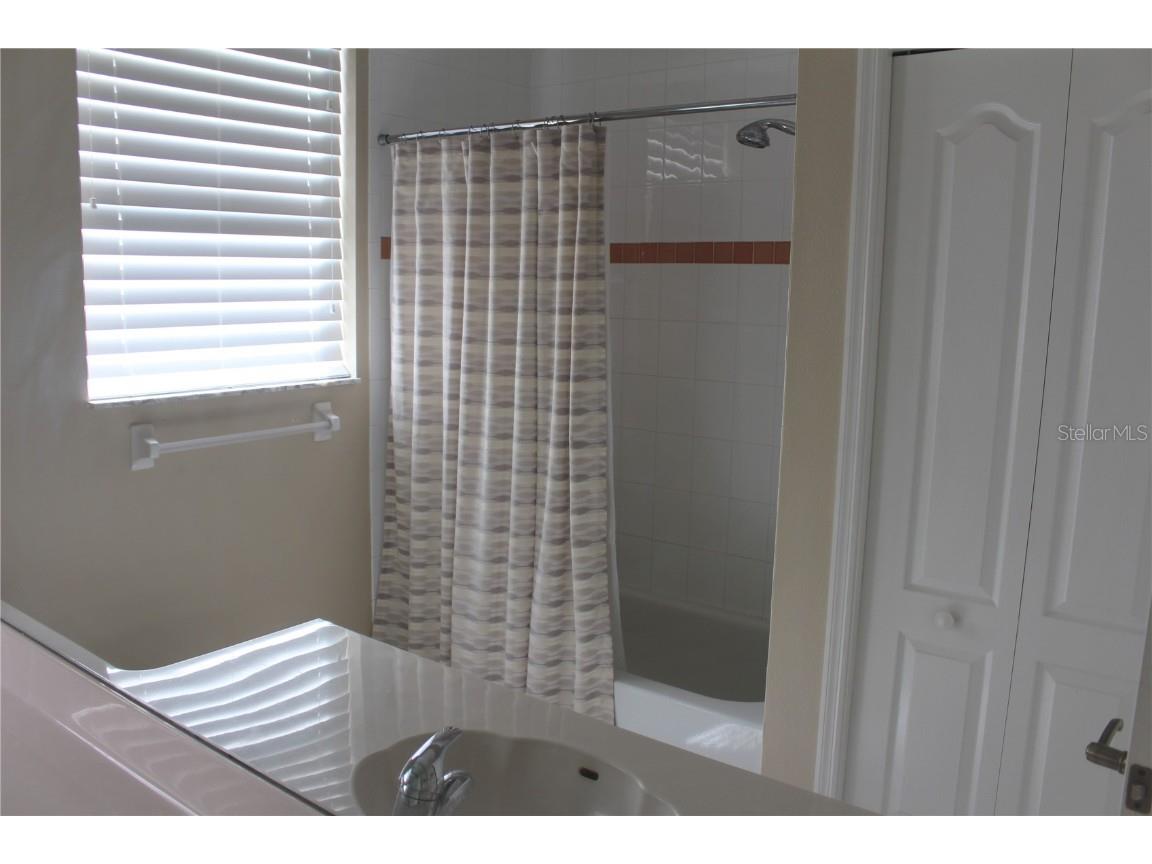 3678 Pendlebury Drive Palm Harbor FL 34685 TB8457584 image29