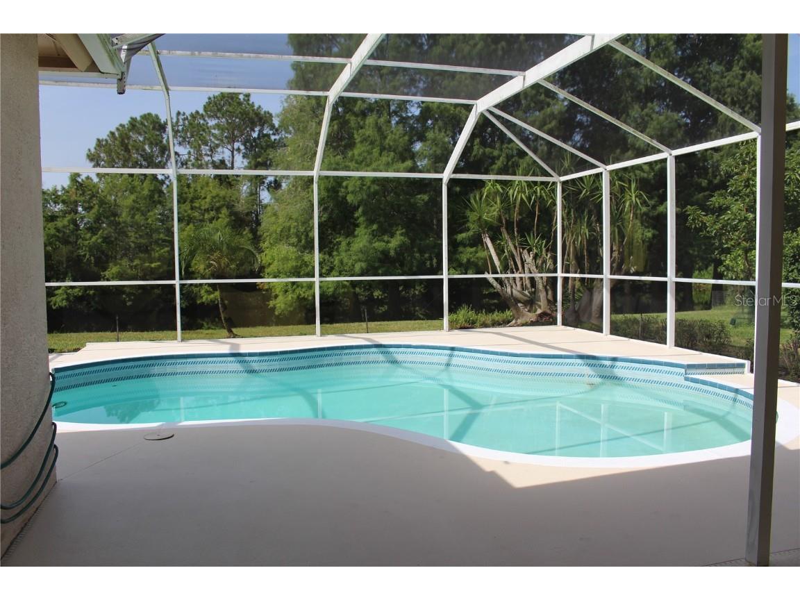 3678 Pendlebury Drive Palm Harbor FL 34685 TB8457584 image3