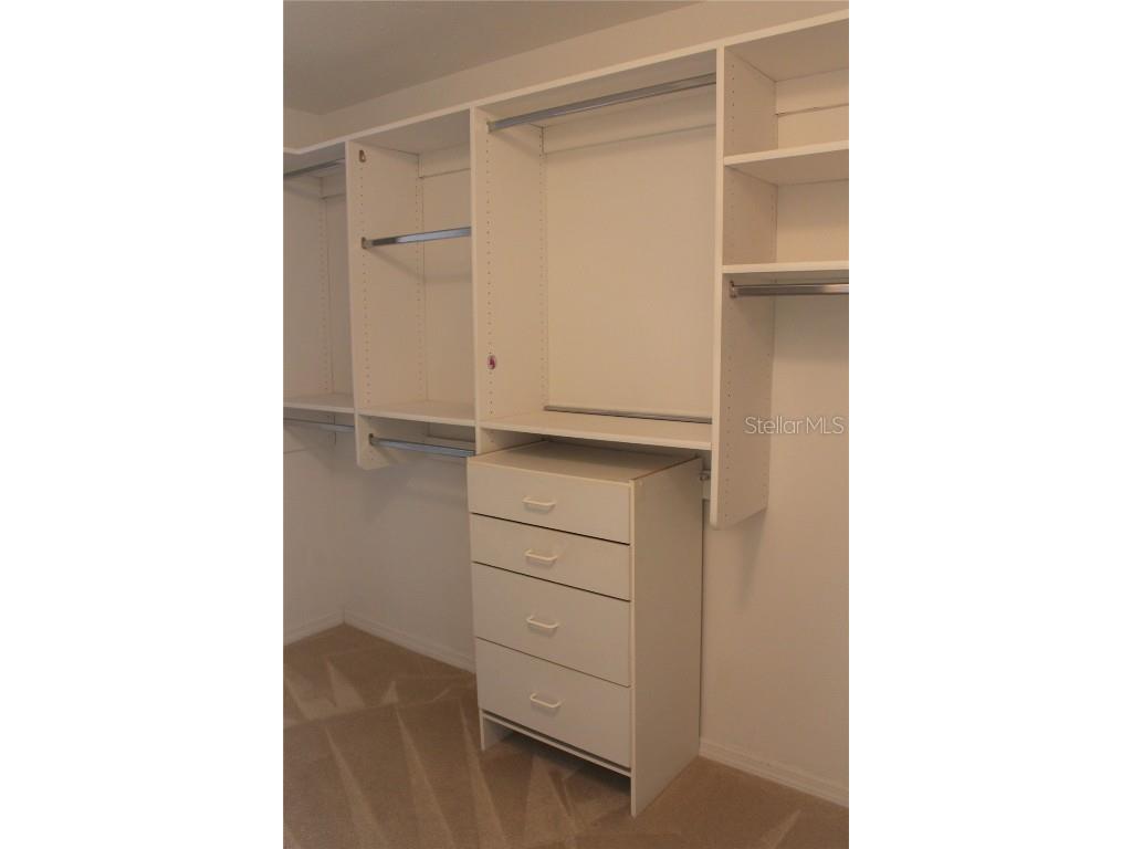 3678 Pendlebury Drive Palm Harbor FL 34685 TB8457584 image36