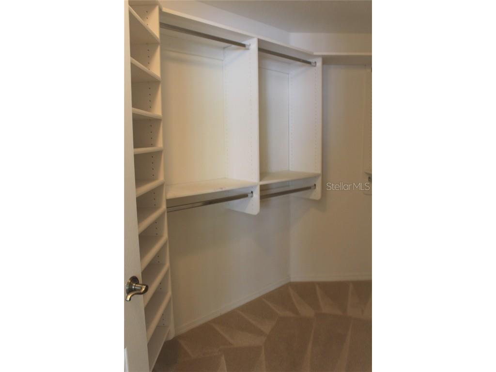 3678 Pendlebury Drive Palm Harbor FL 34685 TB8457584 image37