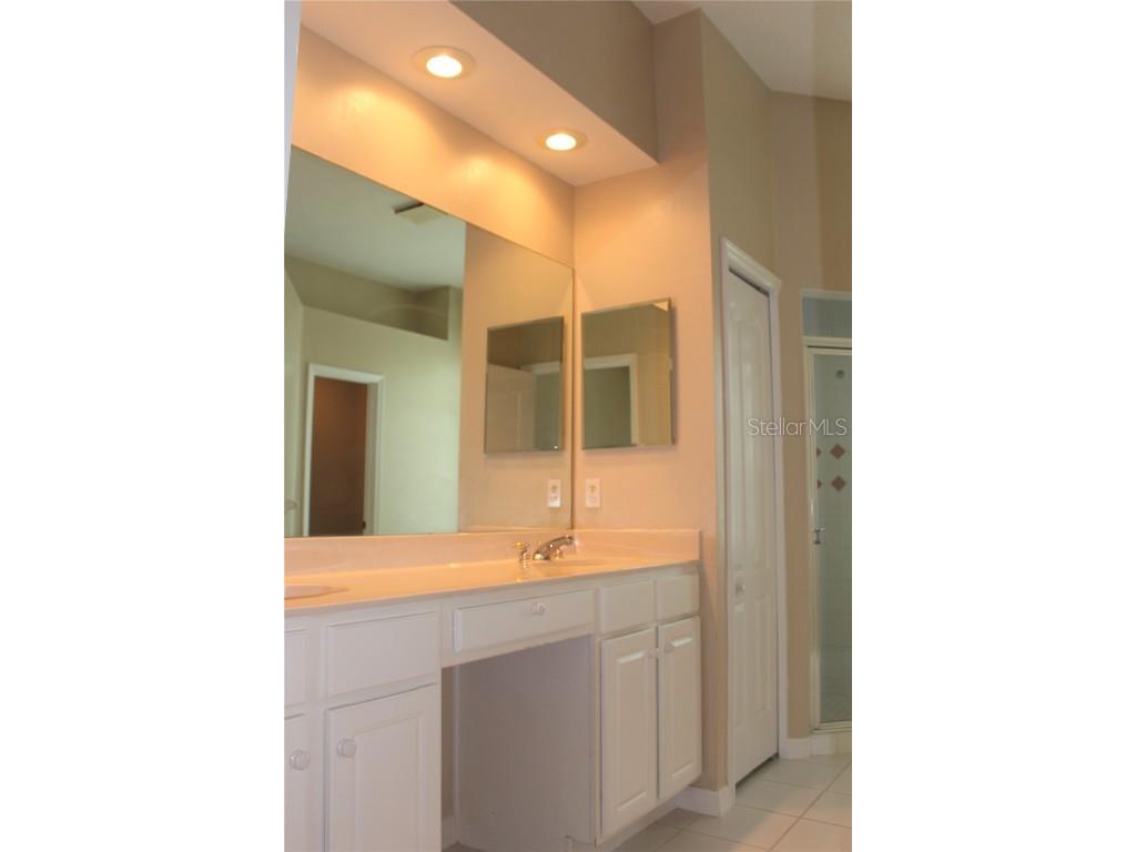 3678 Pendlebury Drive Palm Harbor FL 34685 TB8457584 image38