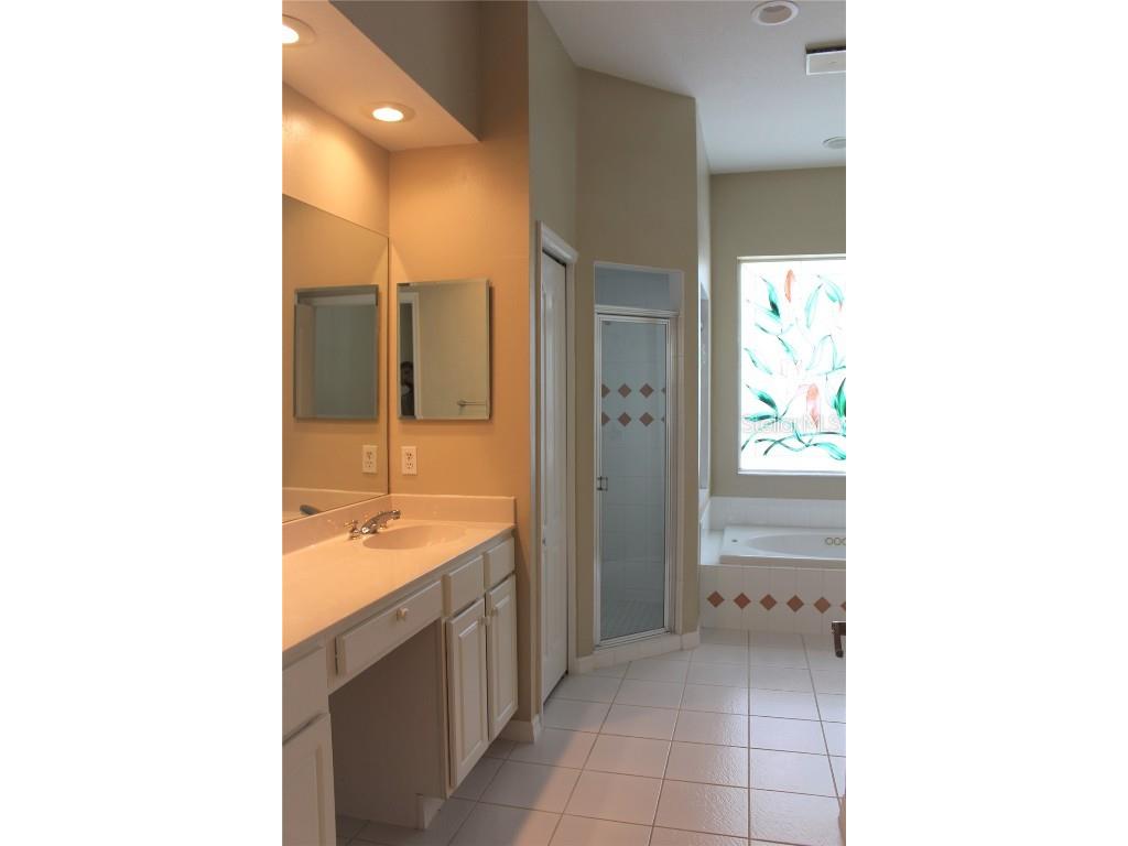 3678 Pendlebury Drive Palm Harbor FL 34685 TB8457584 image39