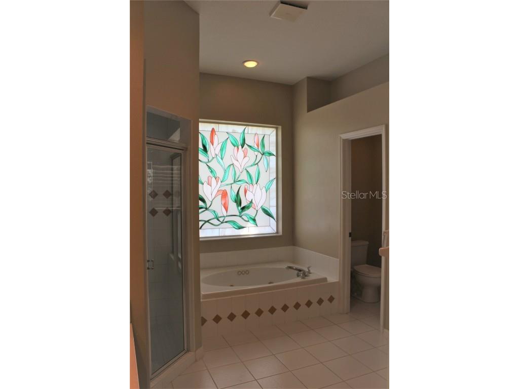 3678 Pendlebury Drive Palm Harbor FL 34685 TB8457584 image40