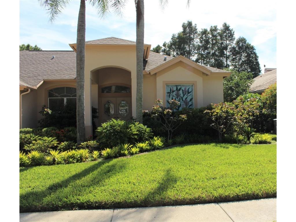 3678 Pendlebury Drive Palm Harbor FL 34685 TB8457584 image46