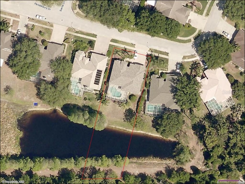 3678 Pendlebury Drive Palm Harbor FL 34685 TB8457584 image47