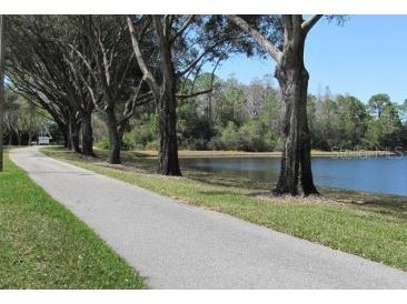 3678 Pendlebury Drive Palm Harbor FL 34685 TB8457584 image50