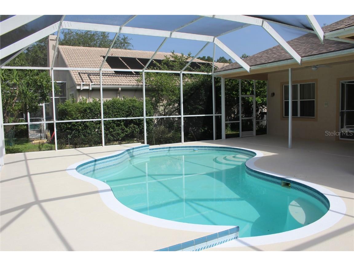 3678 Pendlebury Drive Palm Harbor FL 34685 TB8457584 image6