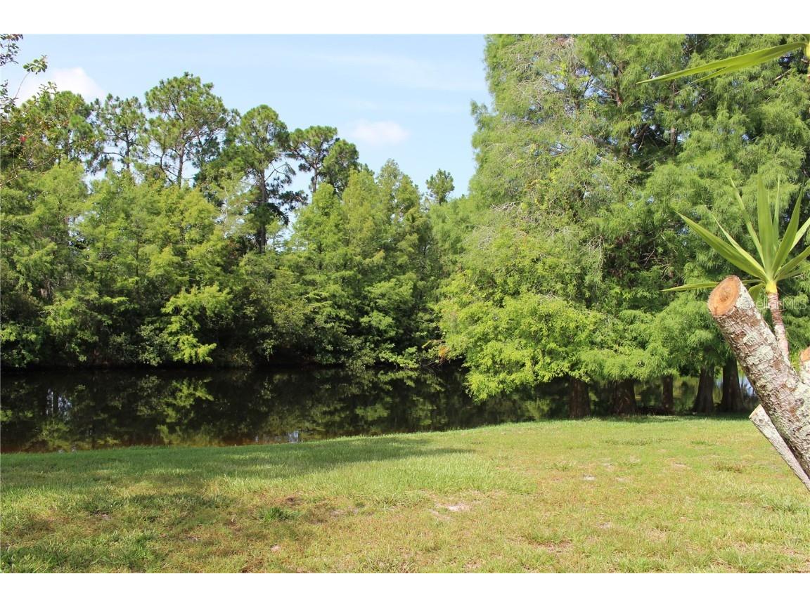 3678 Pendlebury Drive Palm Harbor FL 34685 TB8457584 image7