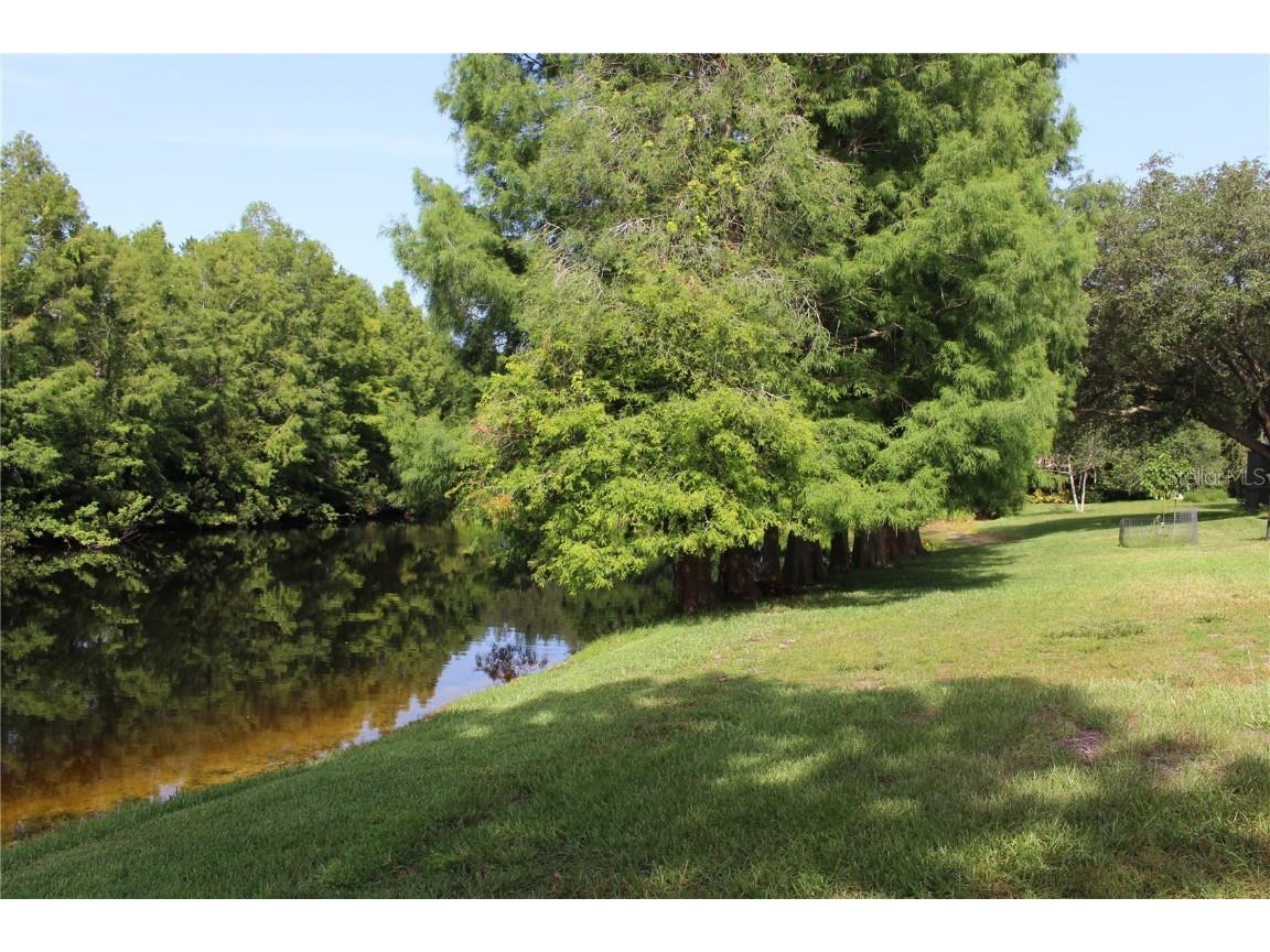 3678 Pendlebury Drive Palm Harbor FL 34685 TB8457584 image8