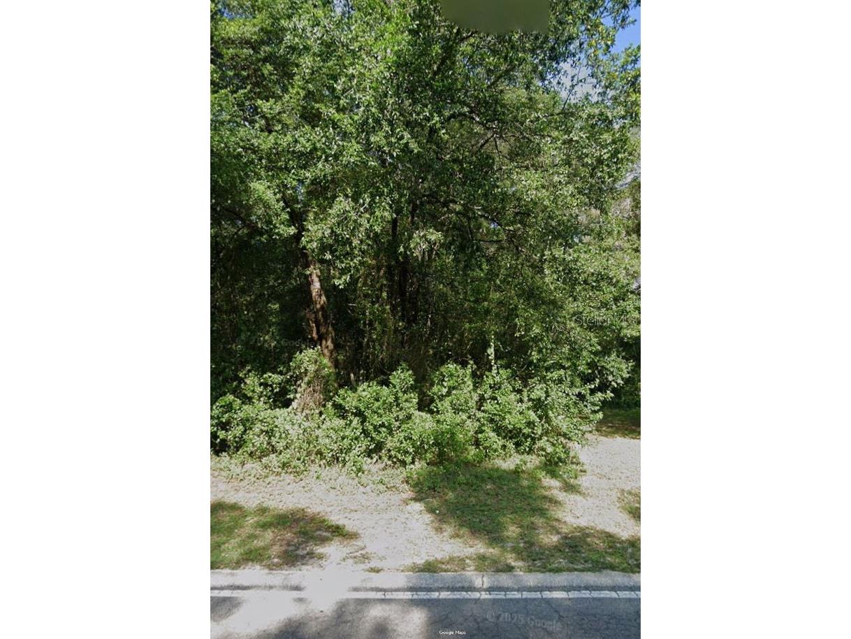 3678 S Apopka Avenue Inverness FL 34452 OM723258 image2