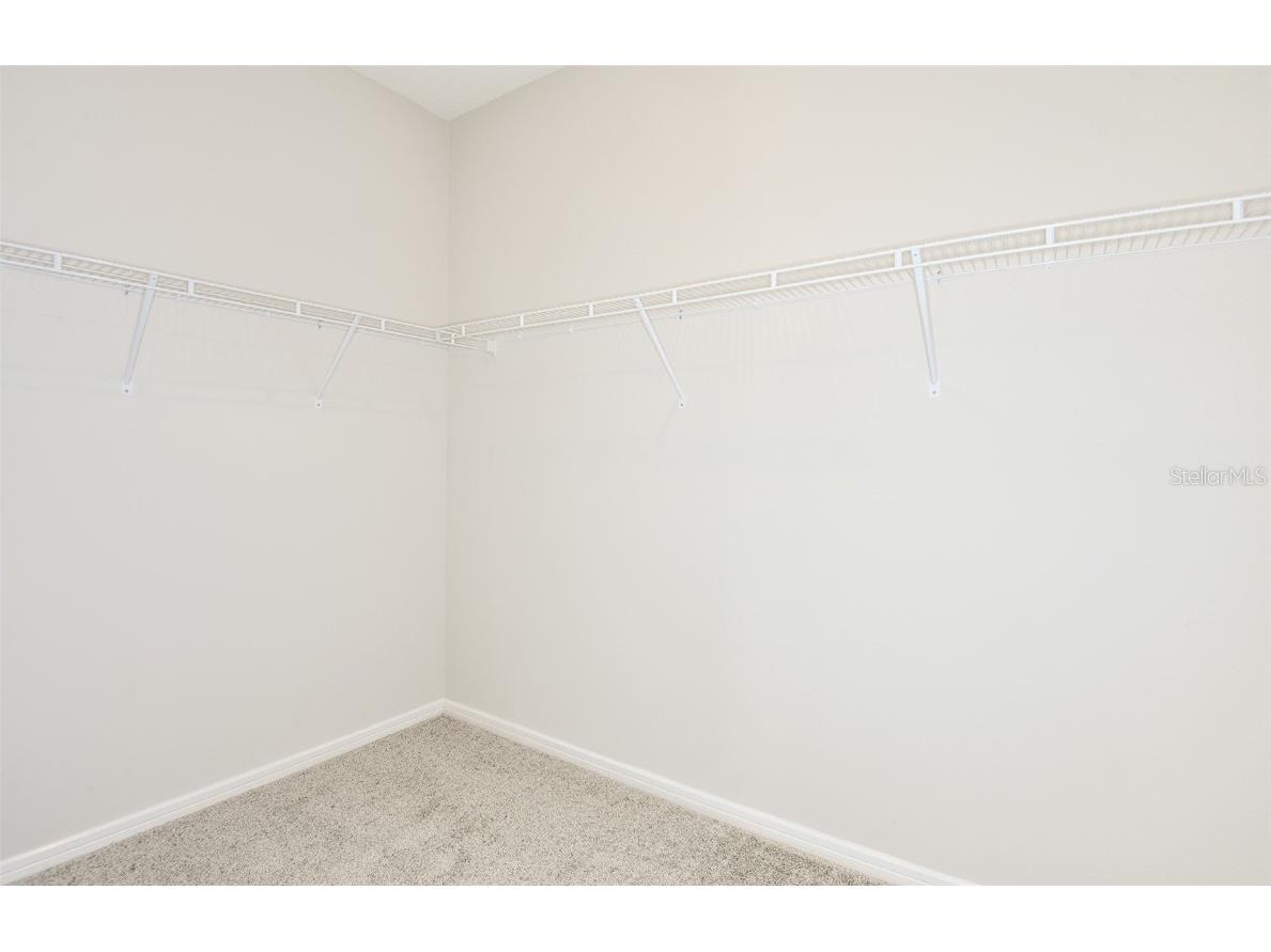 36781 Kistna Drive Zephyrhills FL 33540 TB8458742 image7