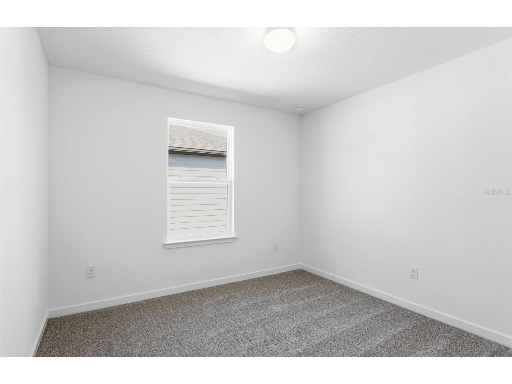36797 Kistna Drive Zephyrhills FL 33540 TB8458731 image15
