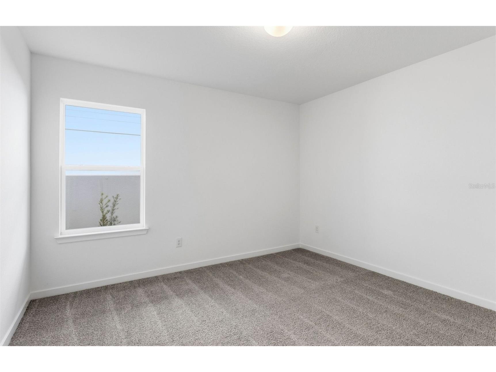 36797 Kistna Drive Zephyrhills FL 33540 TB8458731 image6