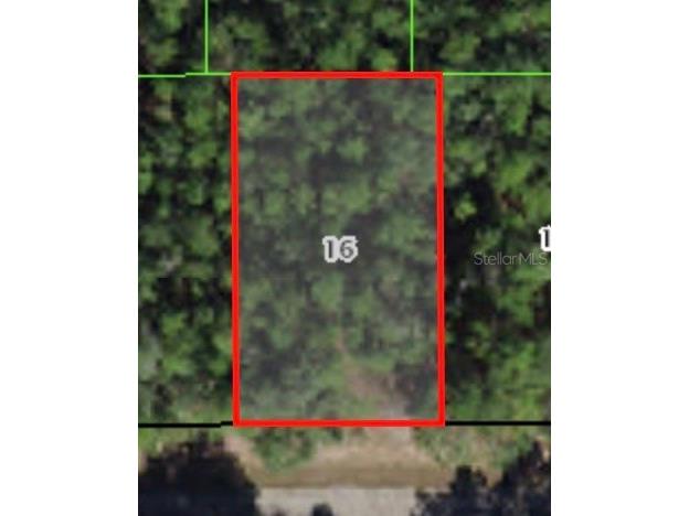 368 E Mc Faddin Place Citrus Springs FL 34434 A4578414 image1