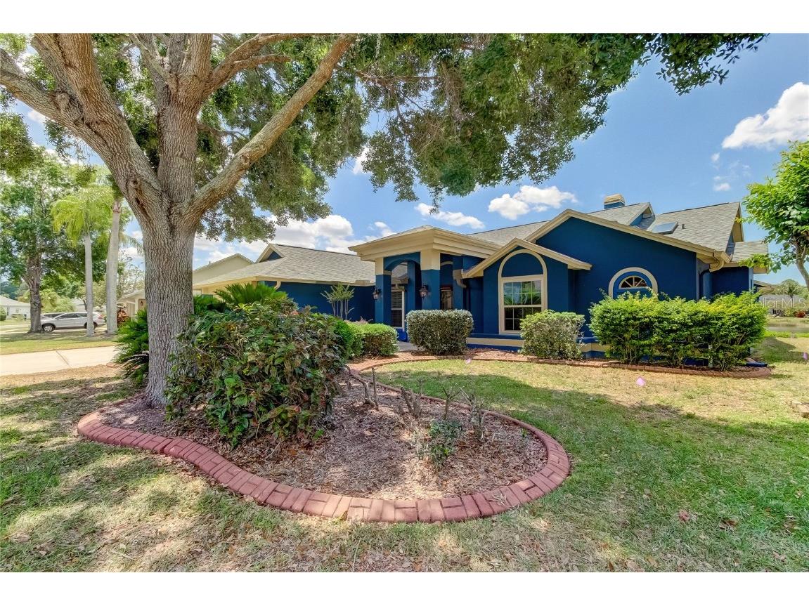 368 Hedgerow Lane Tarpon Springs FL 34688 T3521604 image1