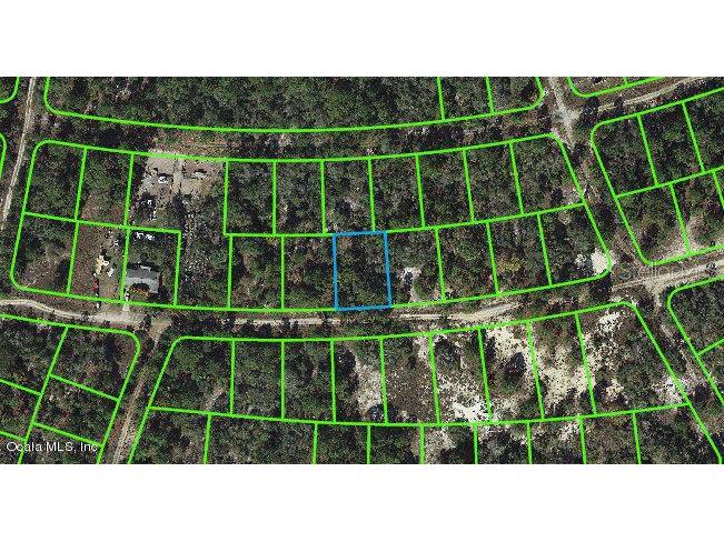 368 Hossler Avenue Lake Placid FL 33852 OM542054 image1