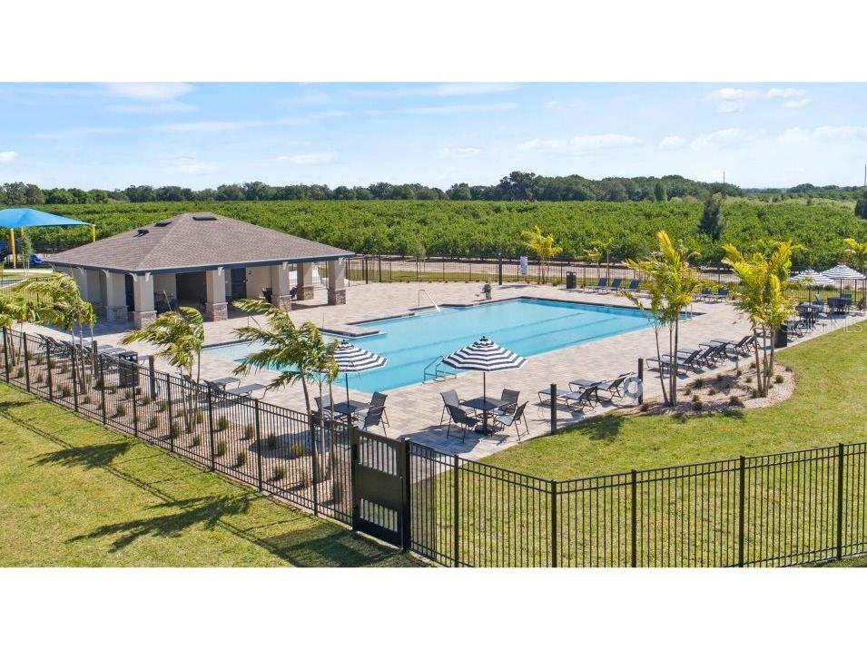 368 Kayden Cove Winter Haven FL 33884 O6377369 image31