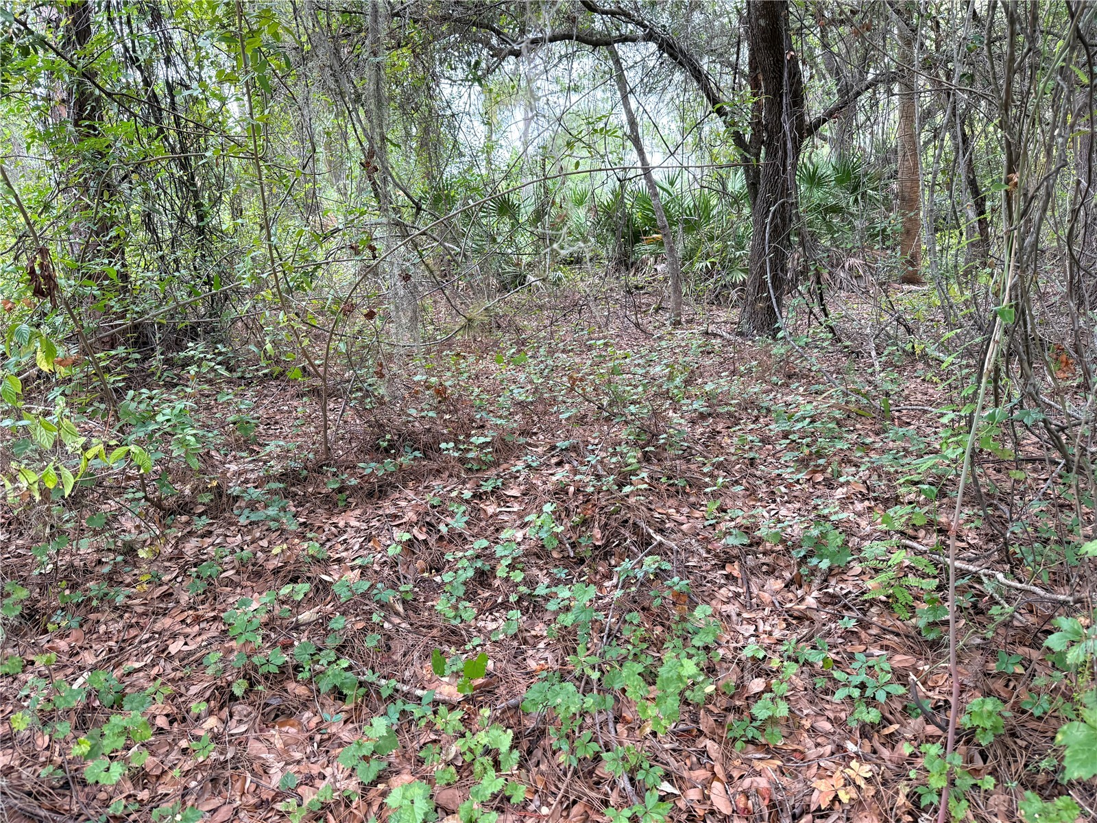 368 Nestle Avenue Lehigh Acres FL 33972 OM719235 image4