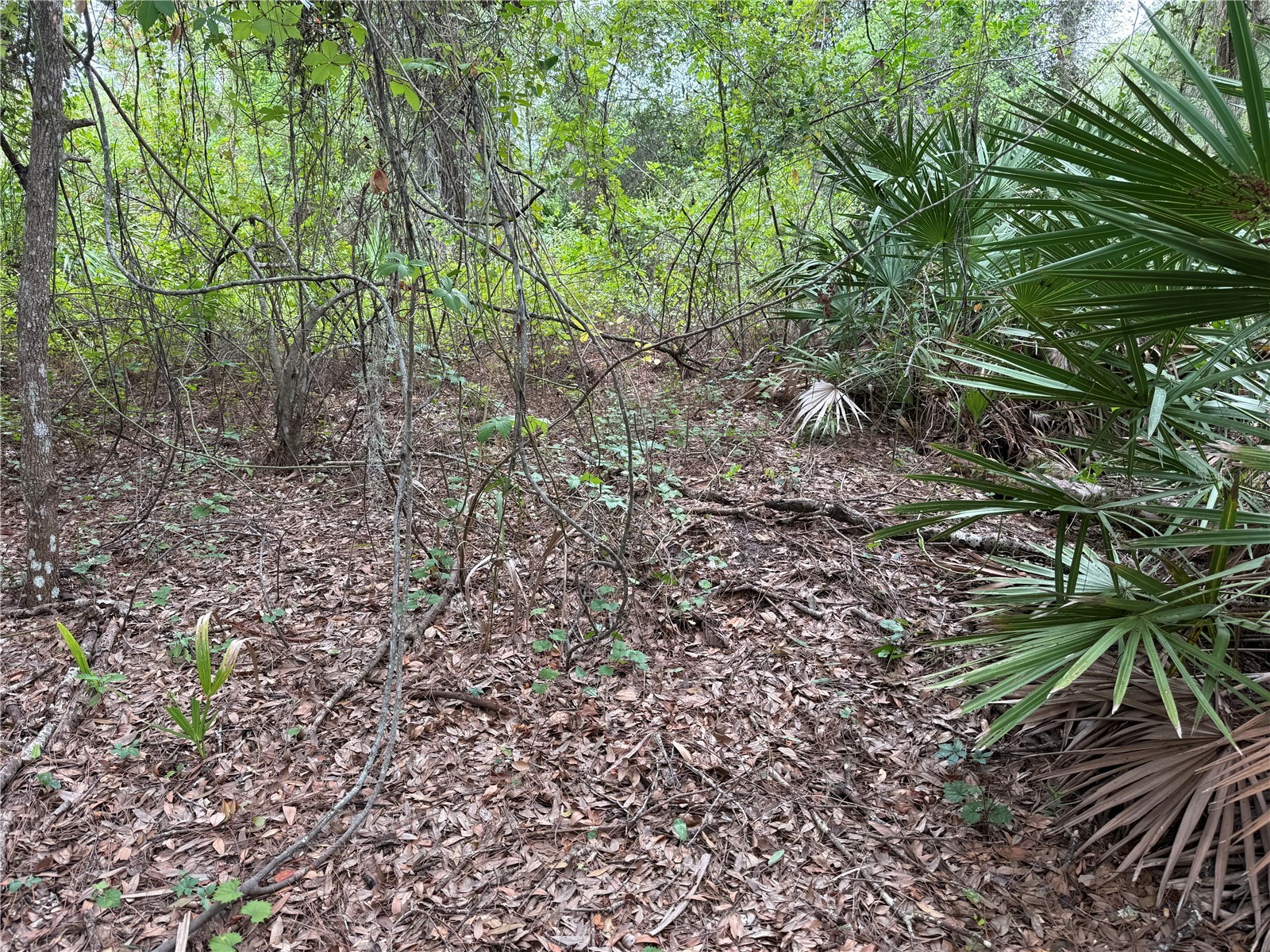 368 Nestle Avenue Lehigh Acres FL 33972 OM719235 image5