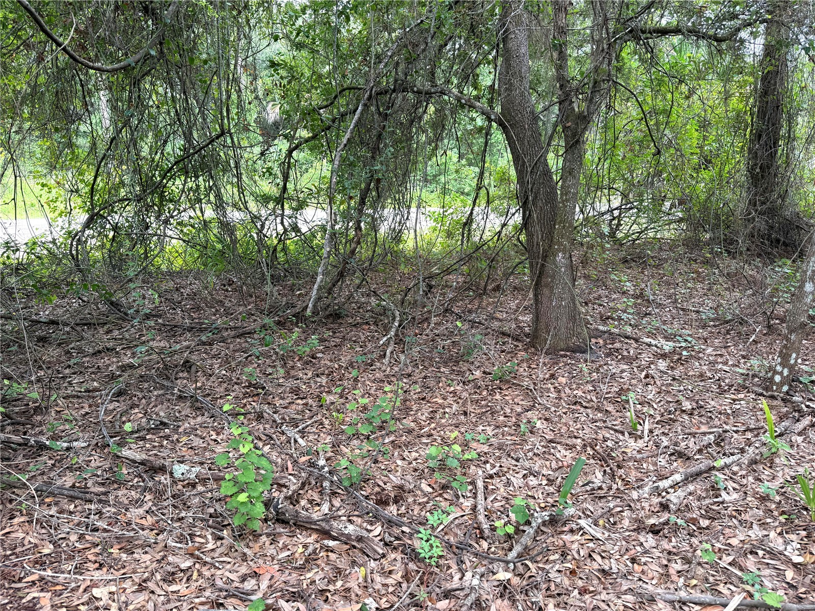 368 Nestle Avenue Lehigh Acres FL 33972 OM719235 image6