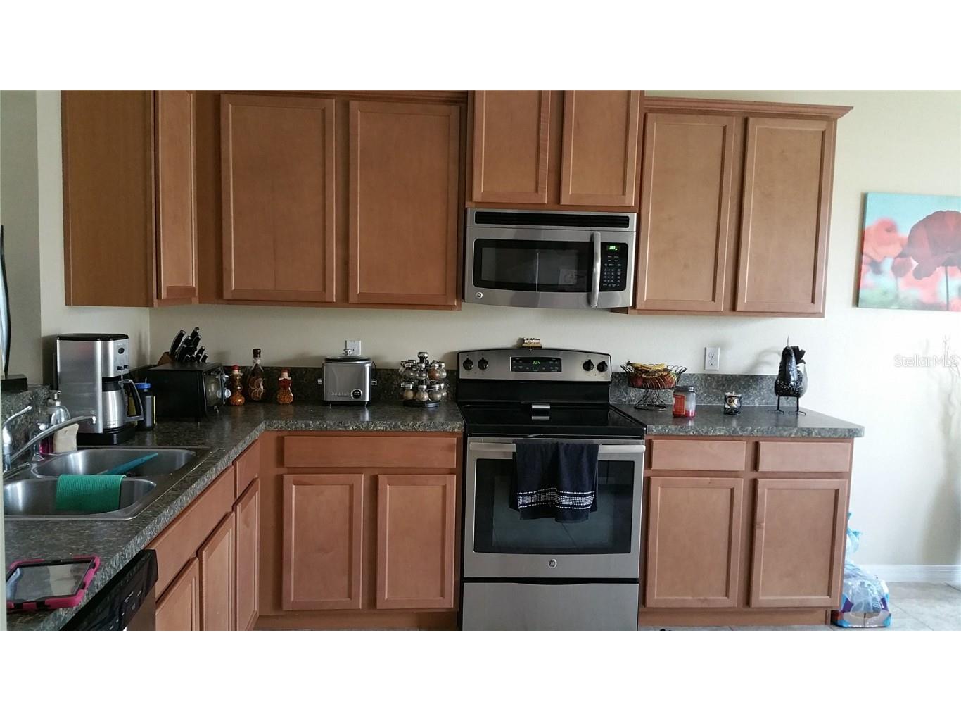 368 Red Kite Drive Groveland FL 34736 G5104009 image3