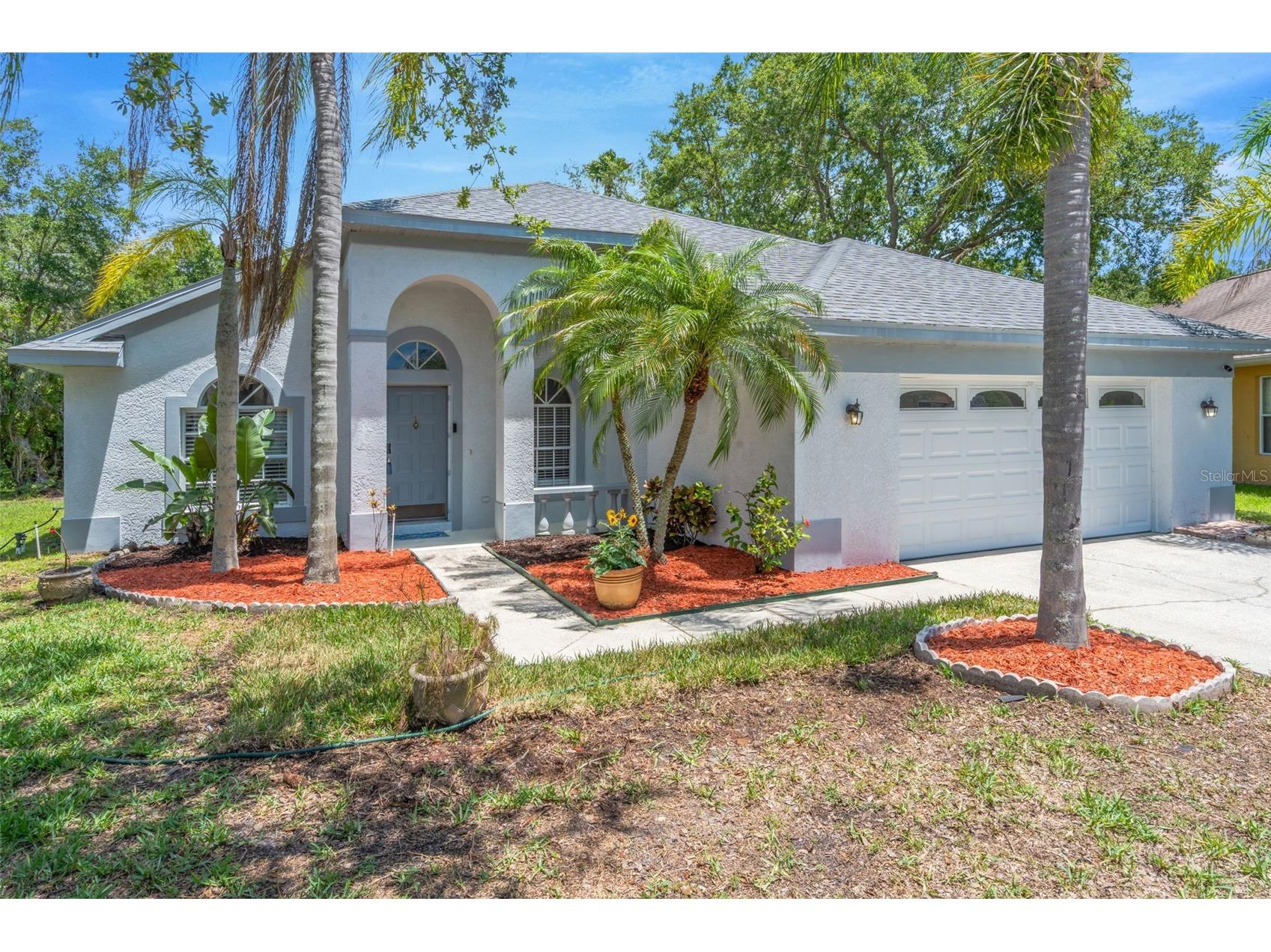 368 Tavernier Circle Oldsmar FL 34677 A4694760 image3