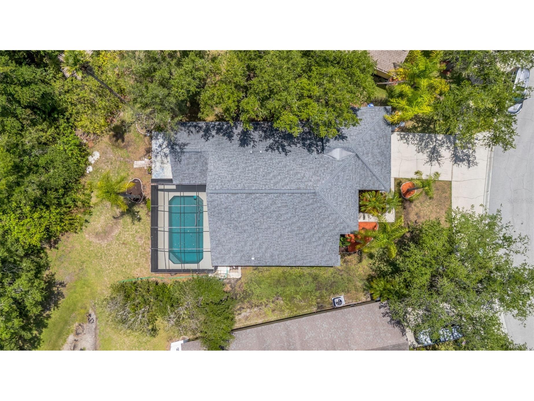 368 Tavernier Circle Oldsmar FL 34677 A4694760 image38