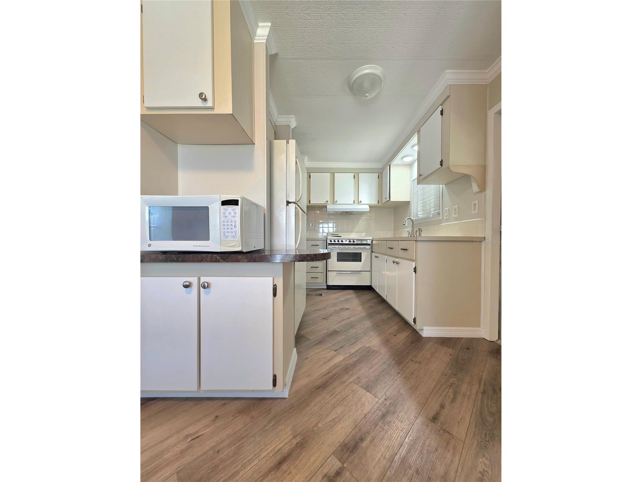 36801 Camelia Court Zephyrhills FL 33542 TB8497965 image14