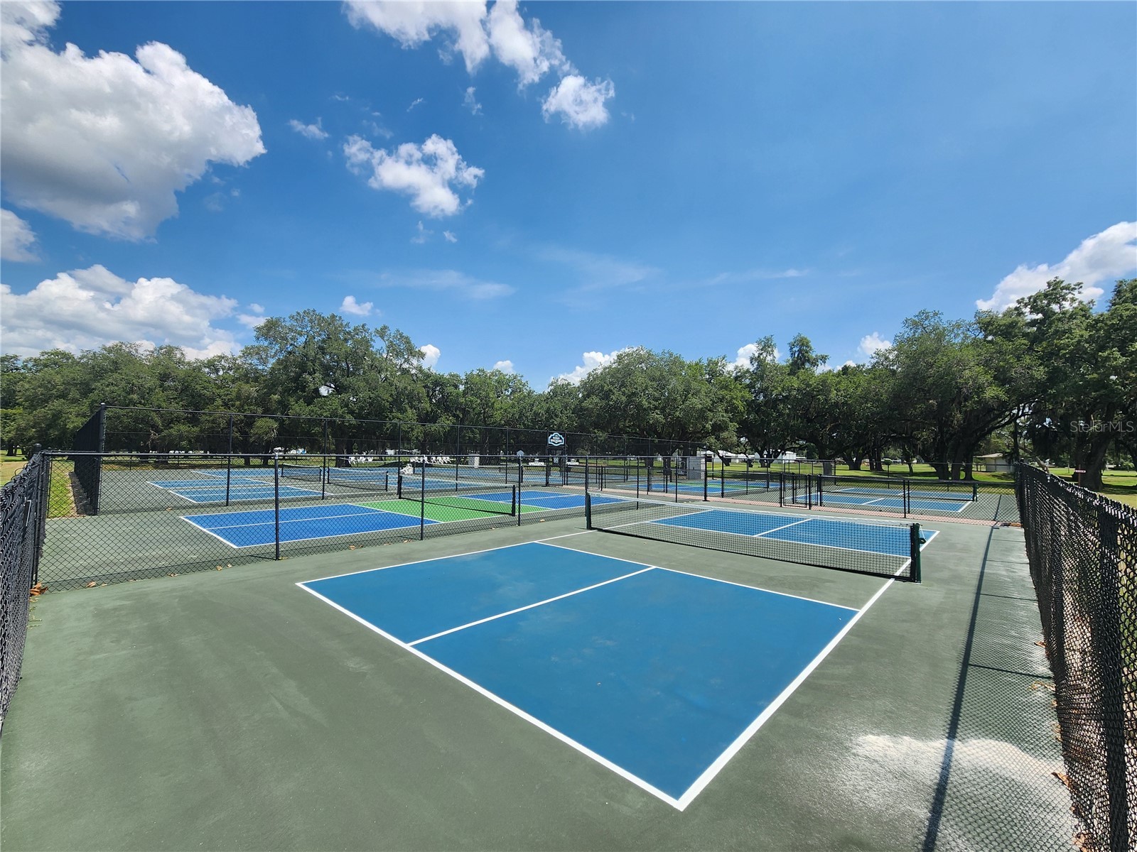 36801 Camelia Court Zephyrhills FL 33542 TB8497965 image64