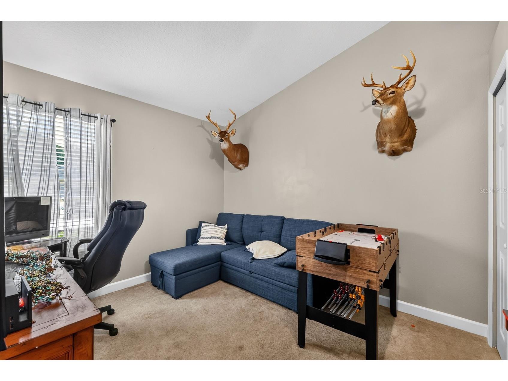 36809 Meridian Circle Grand Island FL 32735 G5114476 image18