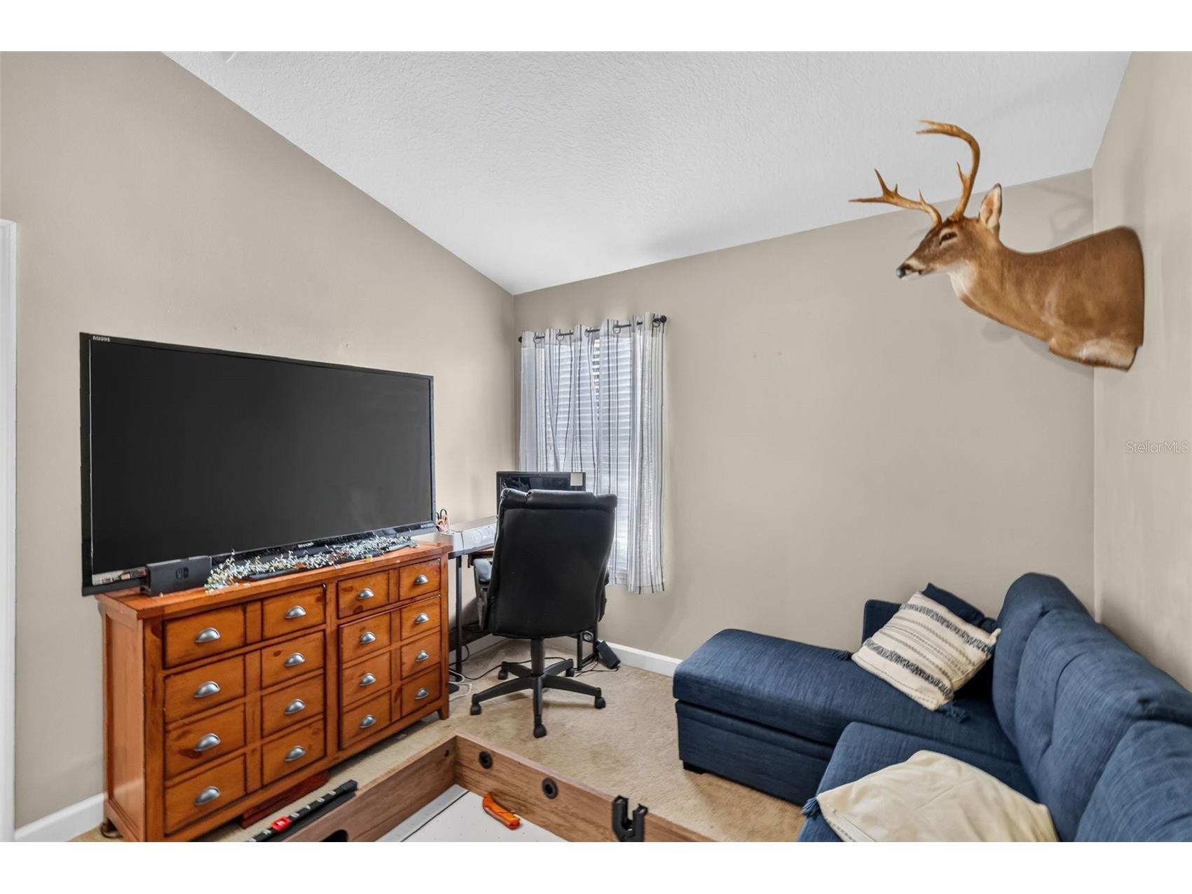 36809 Meridian Circle Grand Island FL 32735 G5114476 image22