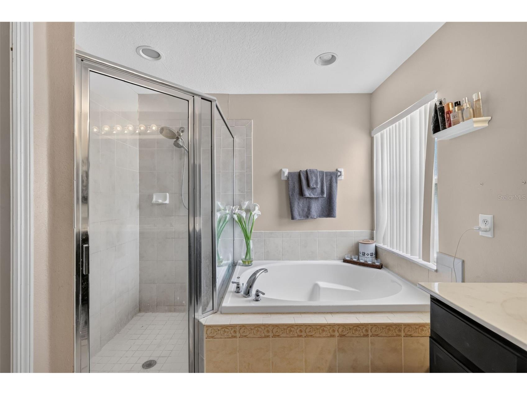36809 Meridian Circle Grand Island FL 32735 G5114476 image24