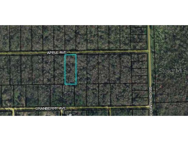 3681 Apple Avenue Bunnell FL 32110 FC302988 image1