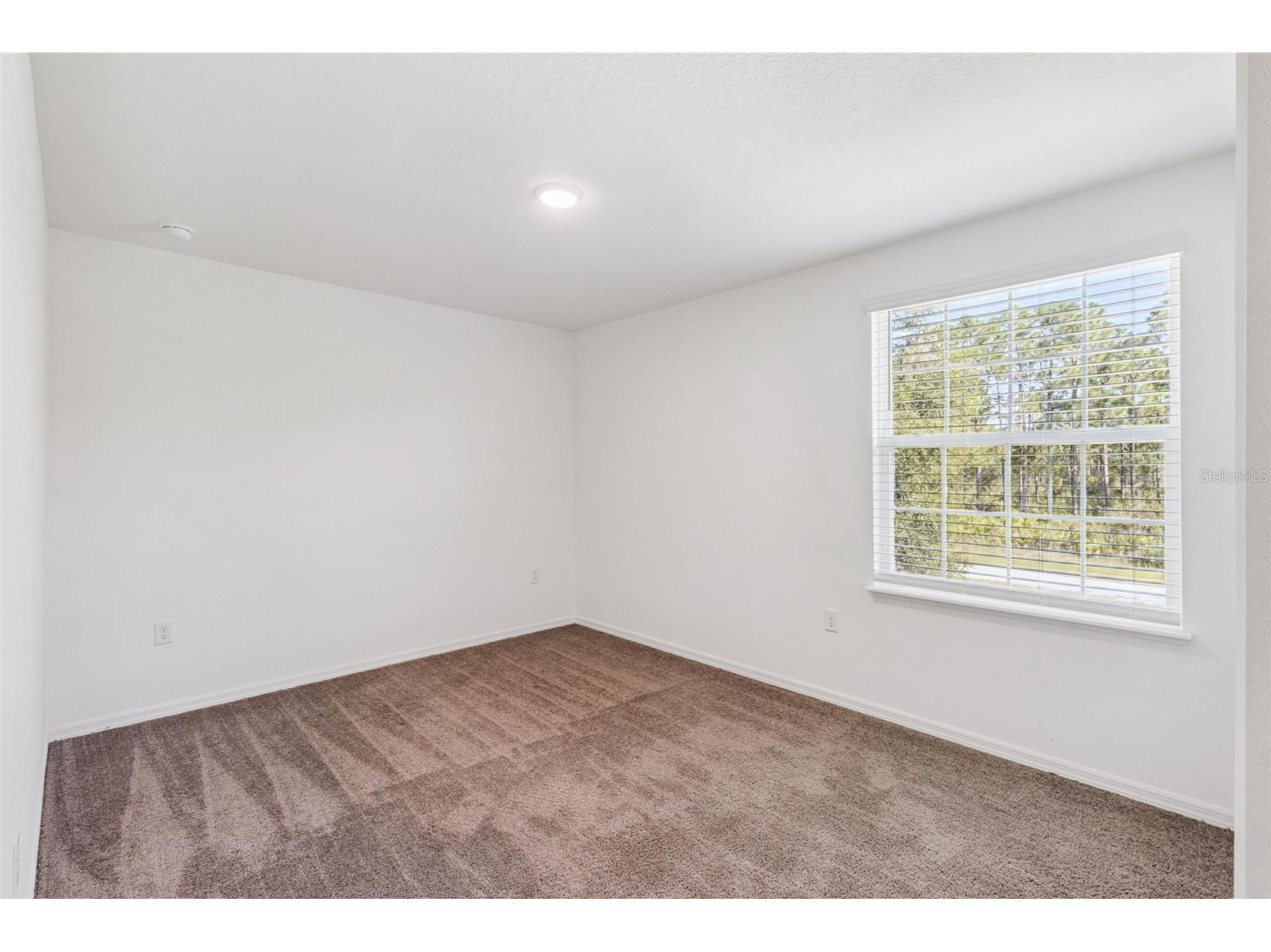 3681 Magnolia Drive Indian Lake Estates FL 33855 TB8516270 image17