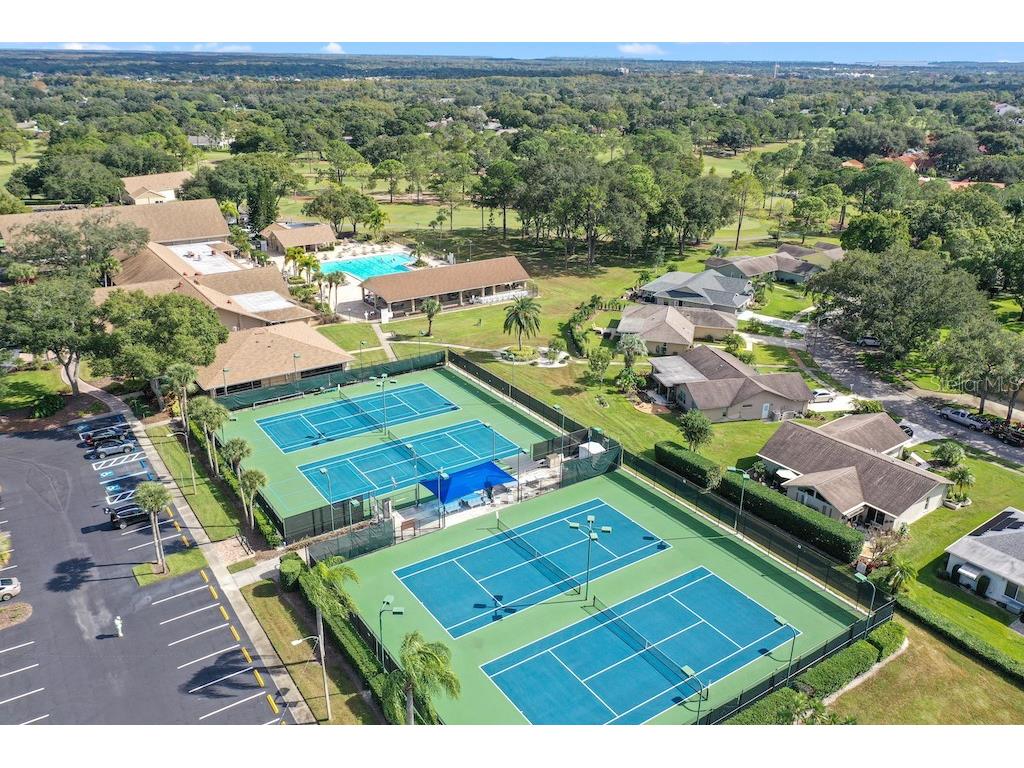 3681 Ridgemont Court Palm Harbor FL 34684 - LAKE TARPON TB8446460 image51